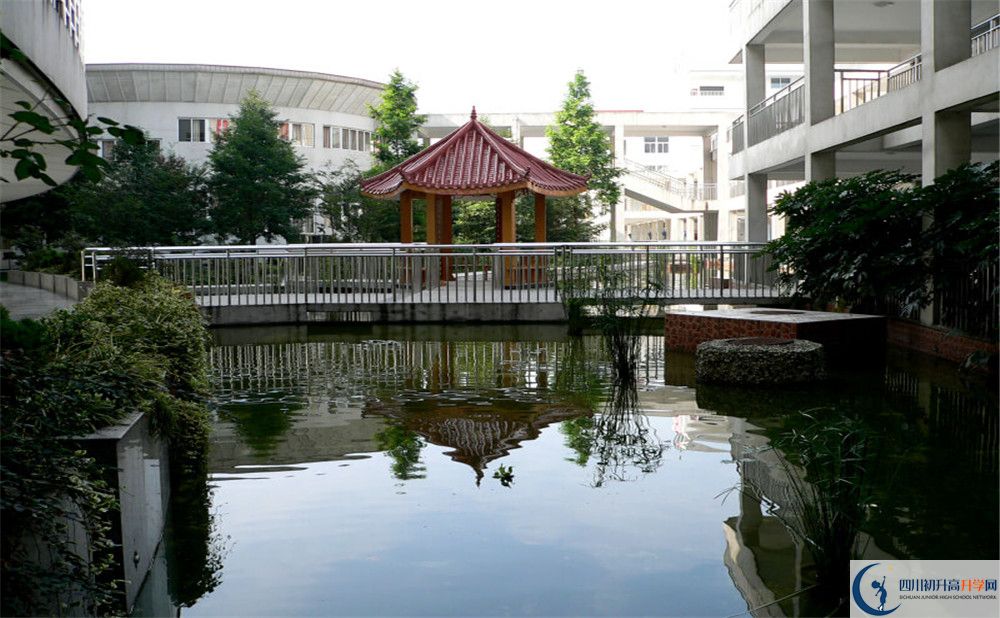 2020成都市龍泉中學(xué)高考重點(diǎn)大學(xué)升學(xué)率是多少？