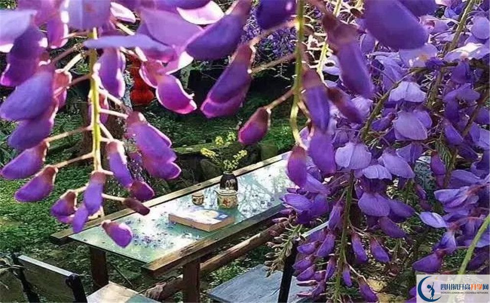 郫縣三中平行班與實(shí)驗(yàn)班差多少？