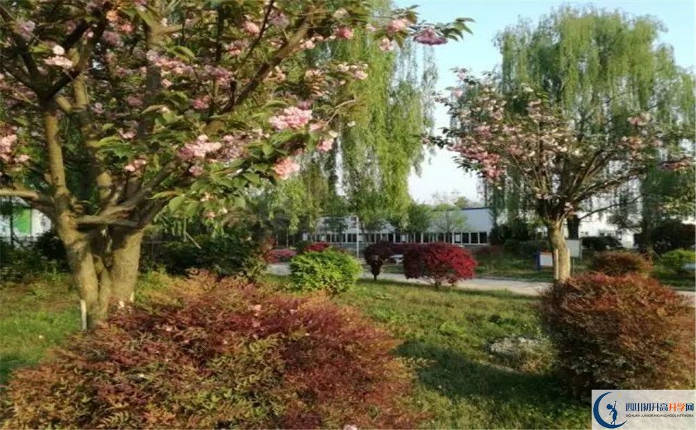 四川師范大學(xué)附屬第三實(shí)驗(yàn)中學(xué)實(shí)驗(yàn)班人數(shù)是多少？