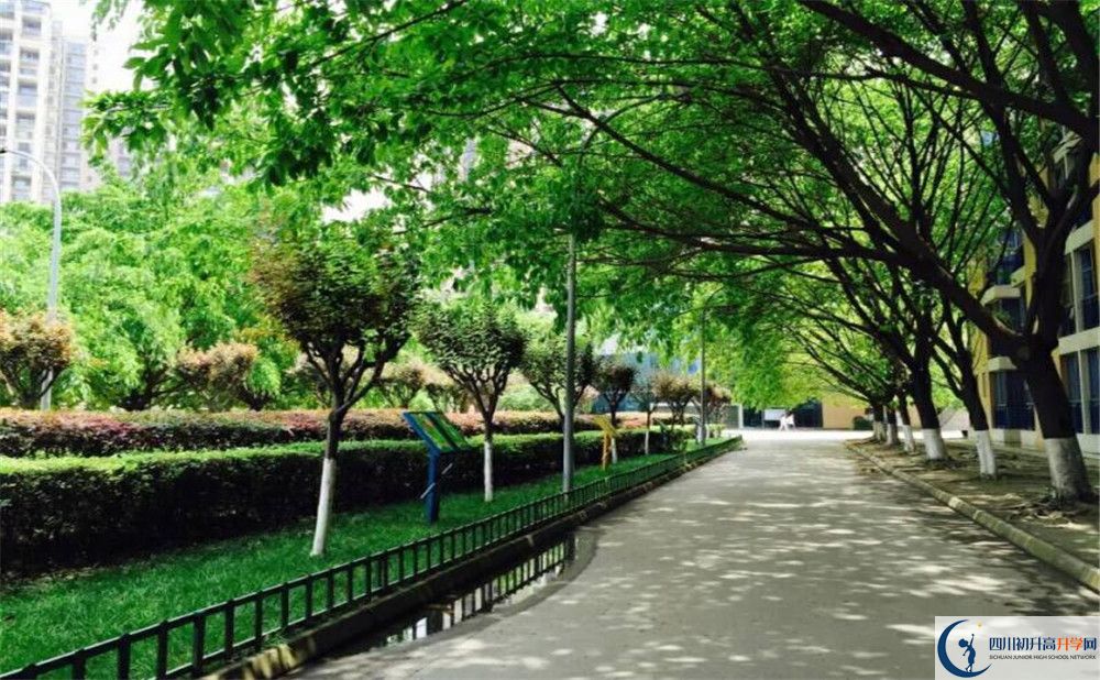 成都七中實(shí)驗(yàn)學(xué)校高2020屆高三階段檢測(cè)試題語(yǔ)文難嗎？