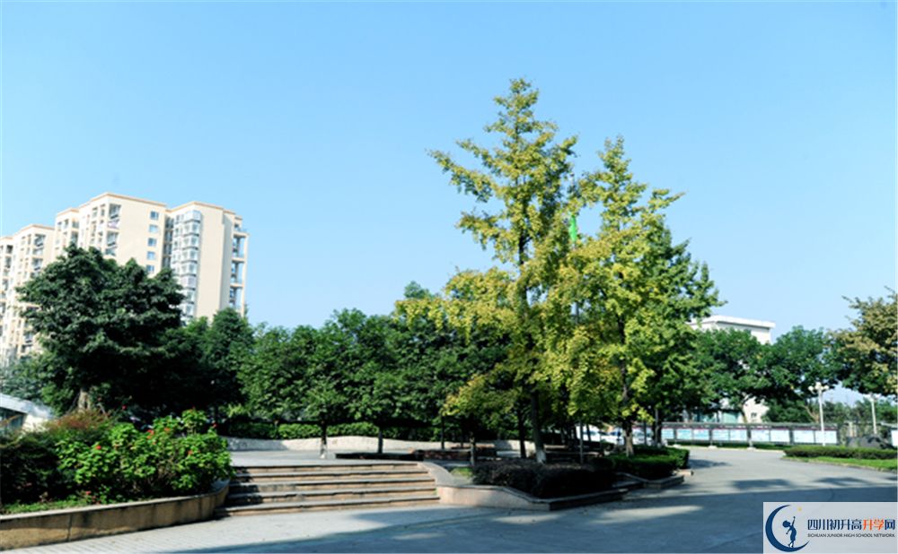 2020成都棠湖外國(guó)語(yǔ)學(xué)校高三英語(yǔ)期末試卷在哪看？