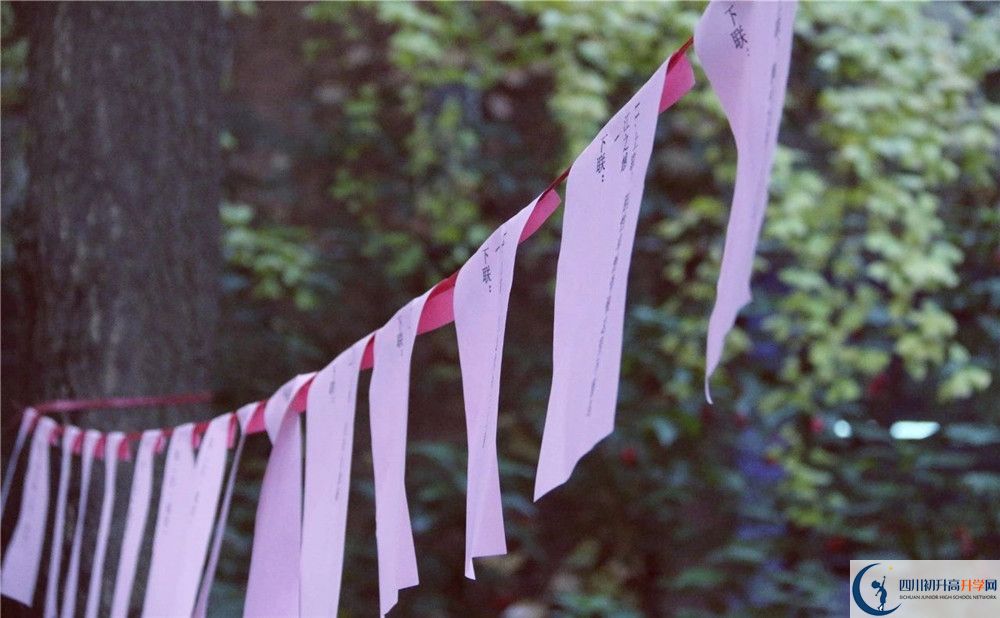 成都實(shí)驗(yàn)外國語學(xué)校（西區(qū)）平行班中考重點(diǎn)率是多少？