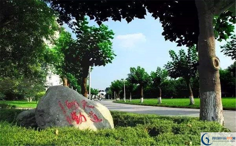 成都樹德中學(xué)補課嗎？