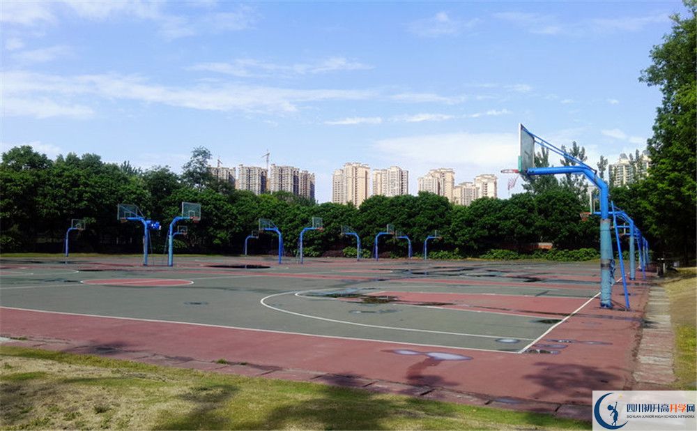 成都實(shí)驗(yàn)外國語學(xué)校（西區(qū)）補(bǔ)課嗎？