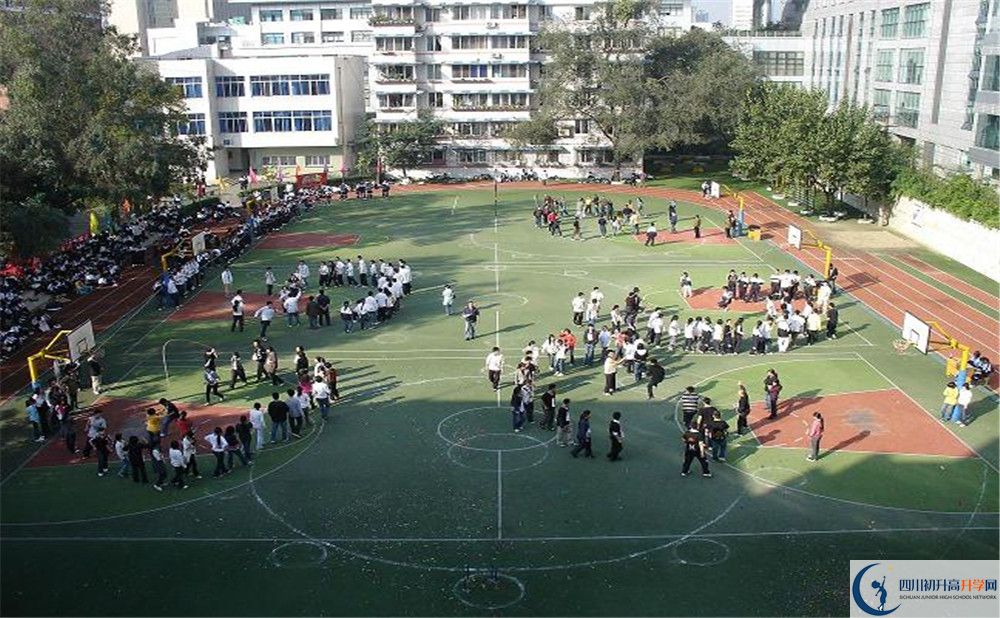 樹德博瑞實驗學校在校學生總人數是多少？