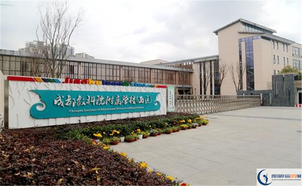 成都教科院附屬學(xué)校2020年高考人數(shù)是多少？