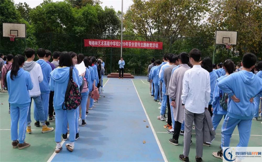 新格林藝術(shù)高級(jí)中學(xué)校2020年高考人數(shù)是多少？