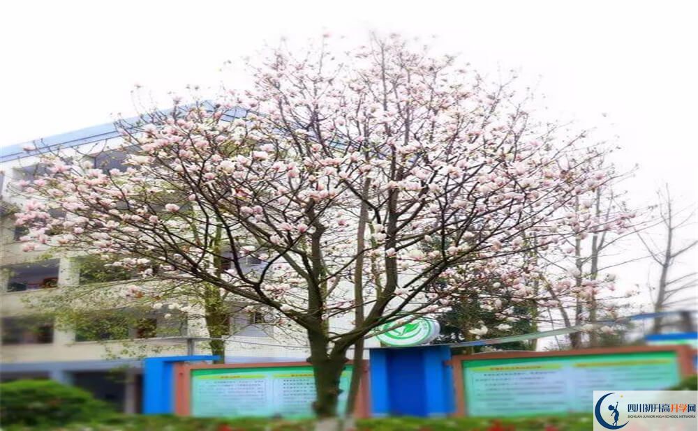 遂寧中學(xué)外國語實(shí)驗(yàn)學(xué)校今年的學(xué)費(fèi)怎么收取，是否變化？