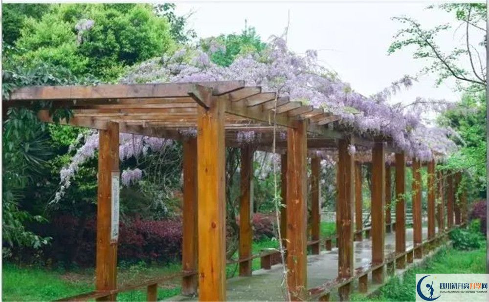 廣安花橋中學(xué)高三診斷考試時(shí)間怎么安排？