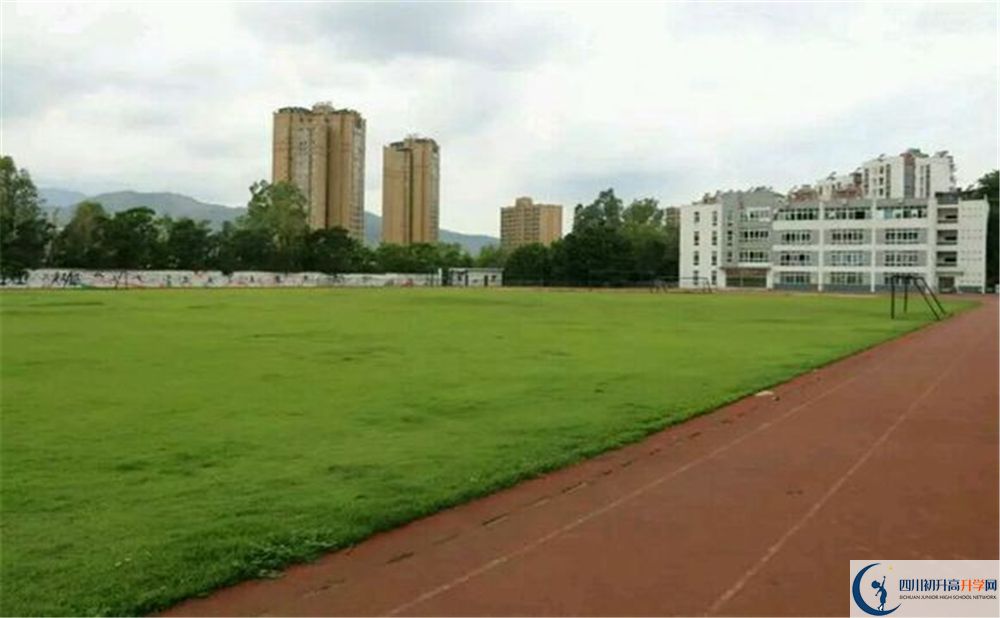 四川省攀枝花市第九中學(xué)高一分班嗎？