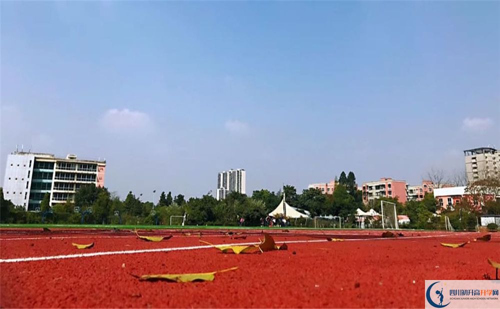 青苗國際雙語學校成都校區(qū)2020年師資怎么樣？