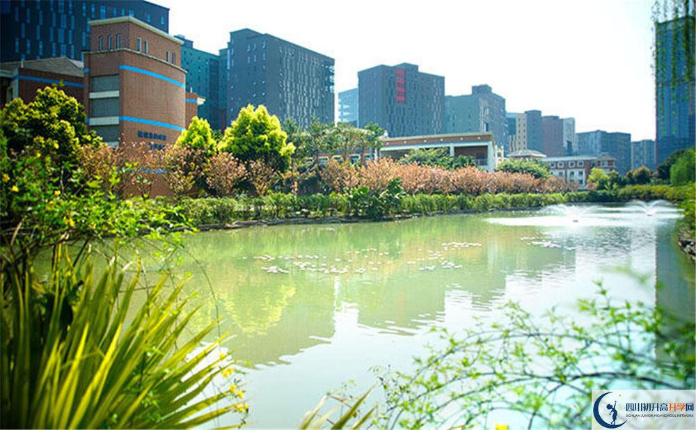 成都美視國際學(xué)校2020年怎么走？