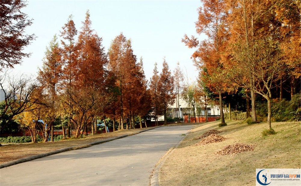 2020年成都實驗外國語學(xué)校西區(qū)住宿條件怎么樣？