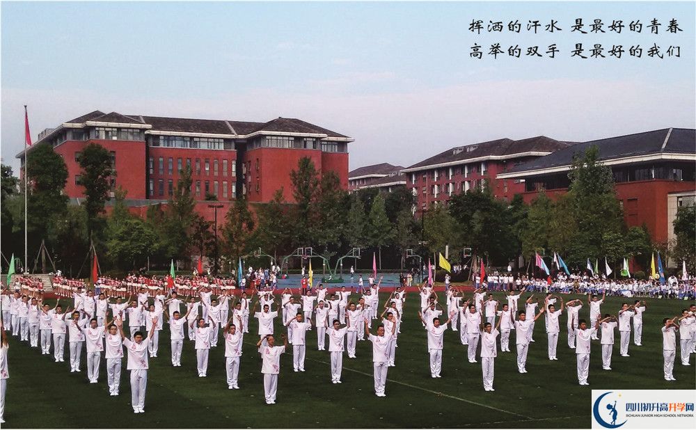 七中高新2020年排名高不高？