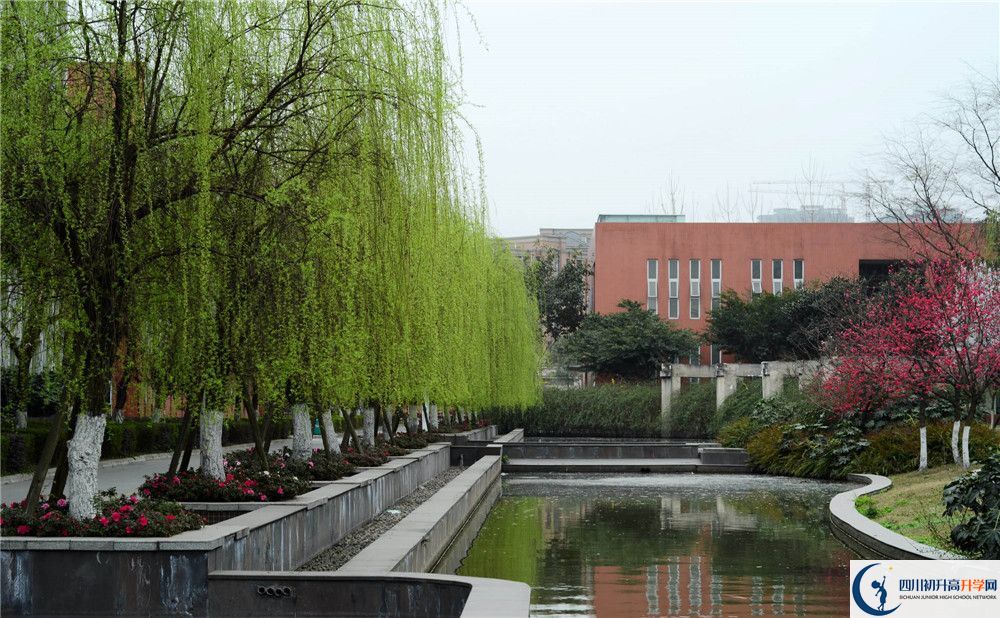 新都香城中學(xué)的哪個(gè)班2020年比較好？