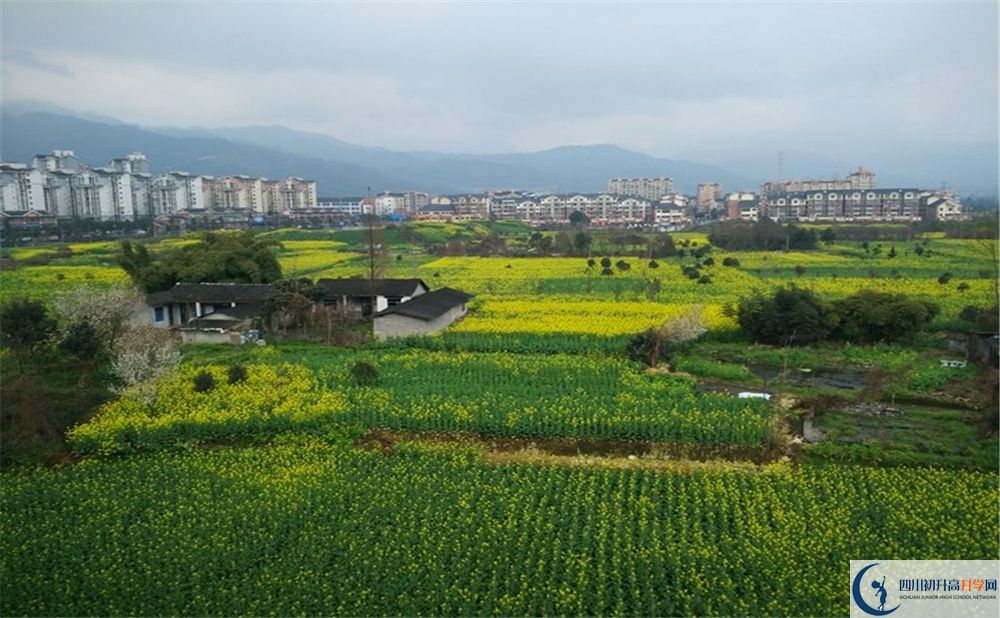 都江堰育才學(xué)校2020年錄取分?jǐn)?shù)線是多少分？