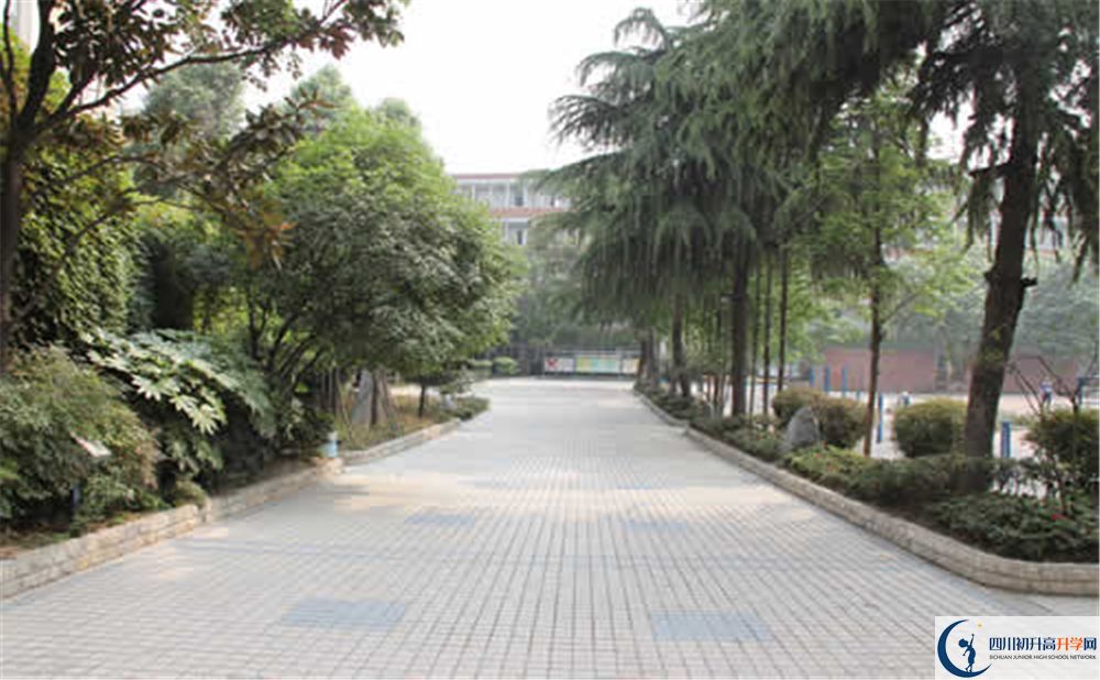 成都列五中學(xué)本部屬于哪個區(qū)？